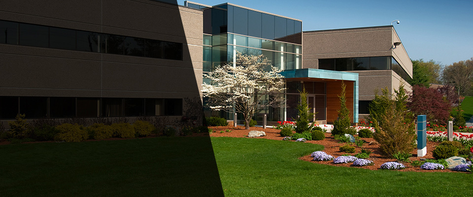 Cranbury Landscapers