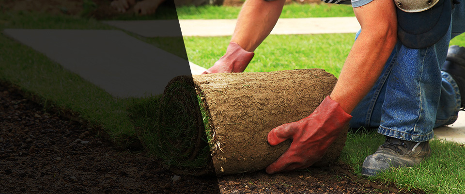 Cranbury Landscapers